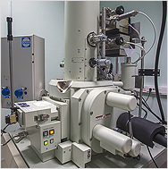 Сканирующий электронный микроскоп JSM-7001F (JEOL)